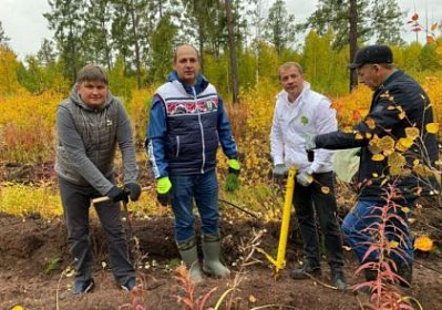   Евгений Бакуров: Жители Братска и района внесли большой вклад в Всероссийскую акцию «Сохраним лес»